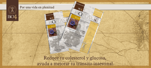 BIO.FLAX Molida